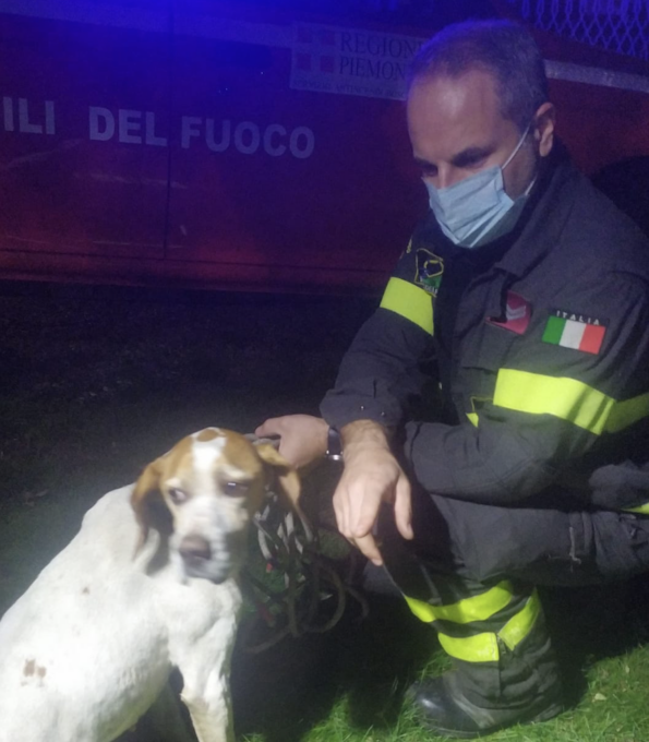 Litta Parodi: cane si allontana da casa e viene recuperato dai Vigili del Fuoco