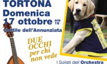 A Tortona arrivano le "Armonie d'autunno"