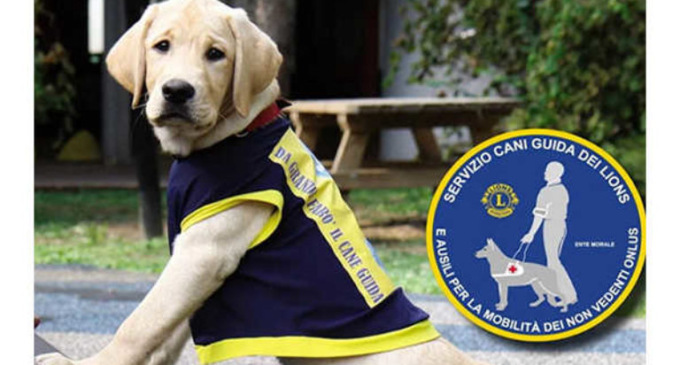 Raccolta fondi dei Lions Alessandria Host per donare un cane guida