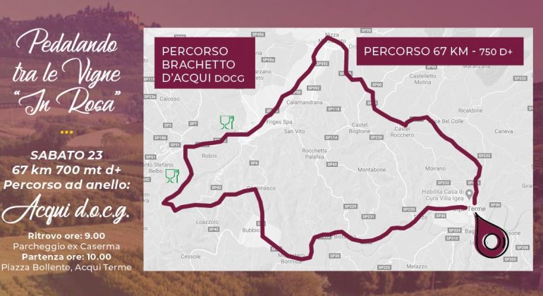 Cosa fare ad Alessandria e provincia: gli eventi del weekend del 23 e 24 ottobre 2021