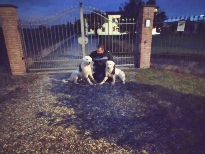 Casale Monferrato: in azione anche la Polizia Locale per l’allerta rossa del 4 e 5 ottobre