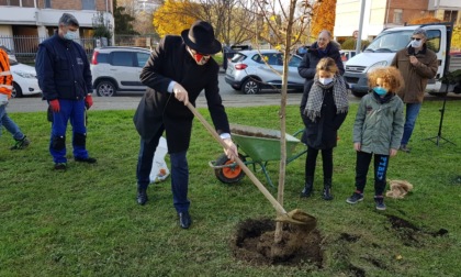 Piantumati nuovi esemplari in occasione della festa dell'albero