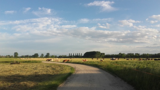 La foresta condivisa del Po Piemontese: un progetto per contrastare i cambiamenti climatici