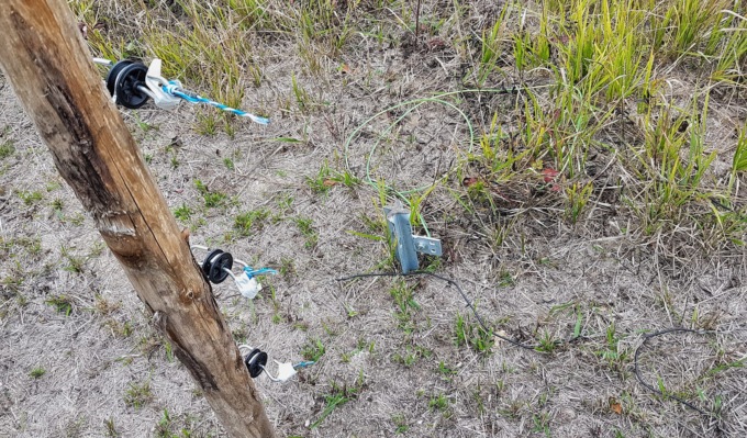 Vandali alla microriserva delle orchidee spontanee al Bric Montariolo: “Temevamo i cinghiali ma il pericolo sono gli umani”