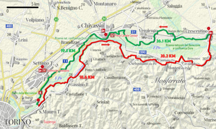 Nasce la foresta condivisa: 200 km di verde da Torino ad Alessandria e Vercelli