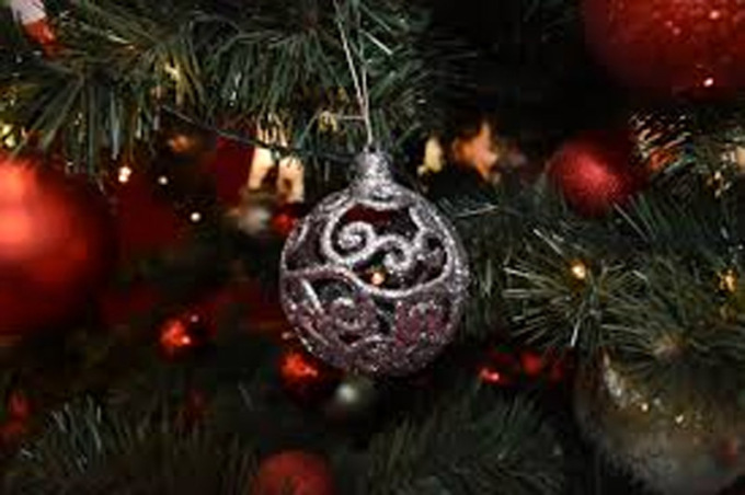 “Comune di Alessandria e Paglieri, insieme per l’albero delle feste”