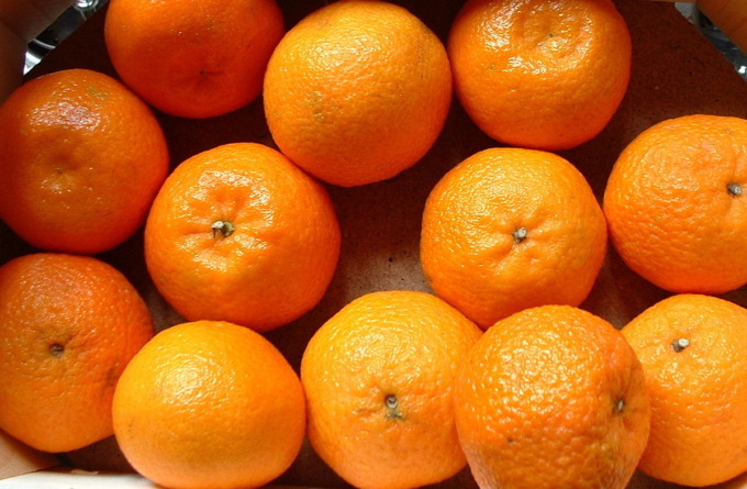 Alessandria: tornano le clementine per sostenere il centro Me.dea
