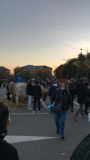 Grande successo per la Fiera di San Martino di Ciriè