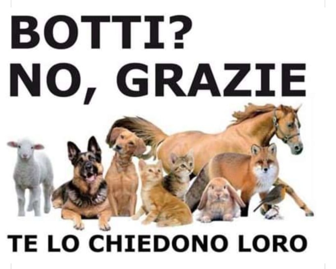 Valenza vieta i botti a Capodanno