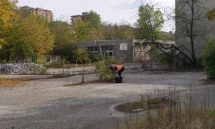 Piscina di Valenza, nasce un progetto sostenibile