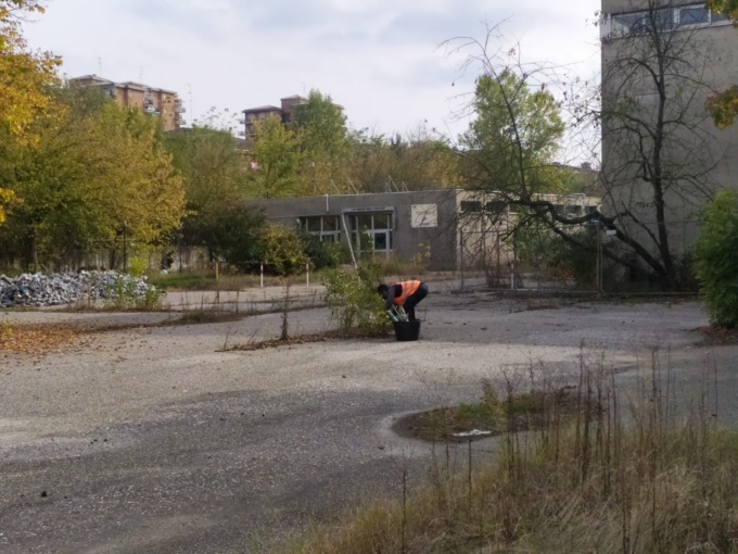 Piscina di Valenza, nasce un progetto sostenibile