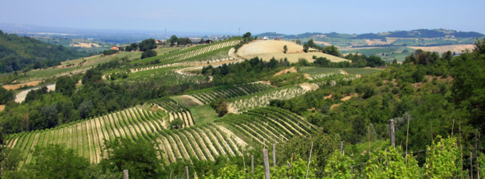 “Derthona Libarna, la terra delle Meraviglie” promuove l’area del tortonese
