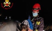 Alfiano Natta, salvato cane caduto in un dirupo dopo 5 ore di intervento