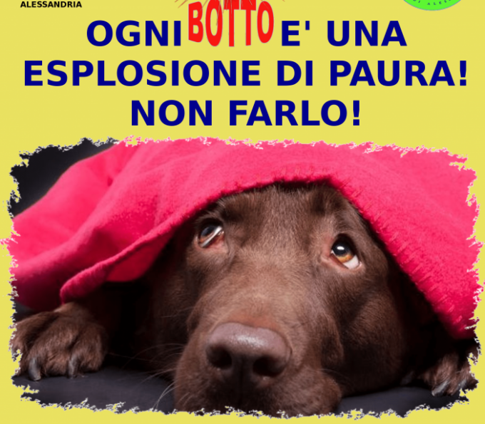 Alessandria: una campagna di sensibilizzazione contro botti e petardi