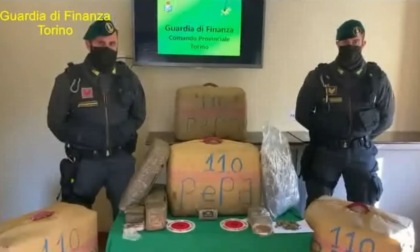 Torino: sequestrati dalla Guardia di Finanza 226 kg di droga, arrestato 35enne