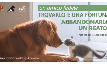 Alessandria, resoconto 2021 Ufficio Welfare Animale