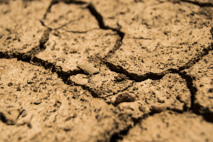 Siccità, Coldiretti: “Dalle precipitazioni dipendono le scelte delle aziende agricole”
