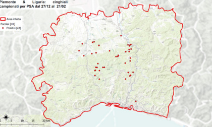 Psa, completati i primi 115 km di recinzione