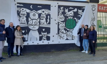 Alessandria: un murales firmato Lele Gastini al gattile sanitario