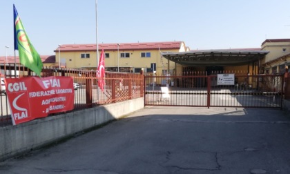 Pernigotti, Pd Alessandria: "Soddisfazione per la proroga, la fabbrica resti novese"