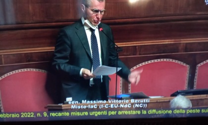 Peste suina, Berutti: "Sostegni imponenti e una modifica alla legge sulla caccia"