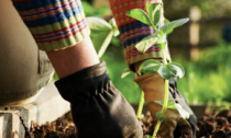 È primavera: giardinaggio, che passione! E fa pure bene alla salute