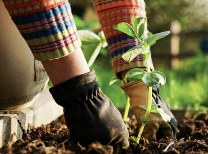 È primavera: giardinaggio, che passione! E fa pure bene alla salute