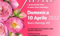 Bosco Marengo, weekend ricco di eventi il 9-10 aprile