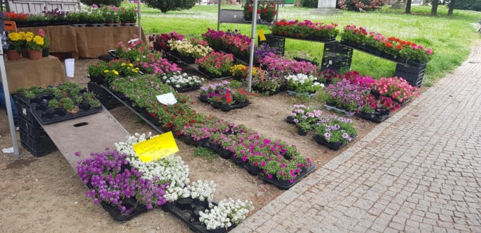 Floreale 2022: le foto dai giardini pubblici di corso Crimea, ad Alessandria
