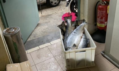 Torino: alimenti mal conservati, denunciato titolare di un ristorante giapponese