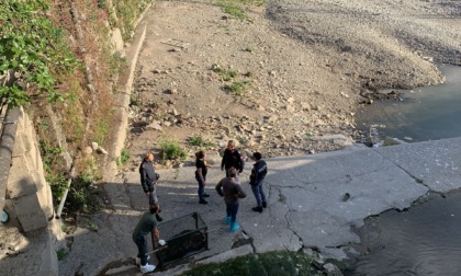 Genova: recuperato cinghiale nei pressi del fiume Bisagno