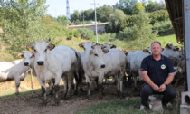 "Stalle aperte" in provincia di Alessandria nel giorno di Pasquetta