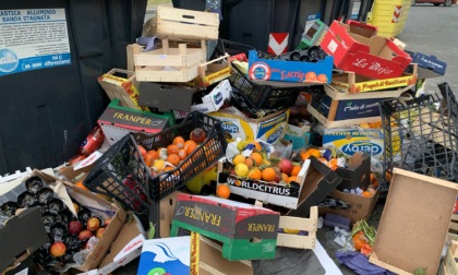 "In via Aldo Moro ad Alessandria depositati continuamente rifiuti fuori dai cassonetti"