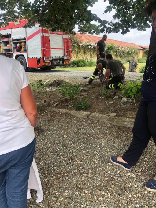 Salvato dai Vigili del Fuoco un cane intrappolato sottoterra in una campagna. E’ accaduto a Castelnuovo Bormida