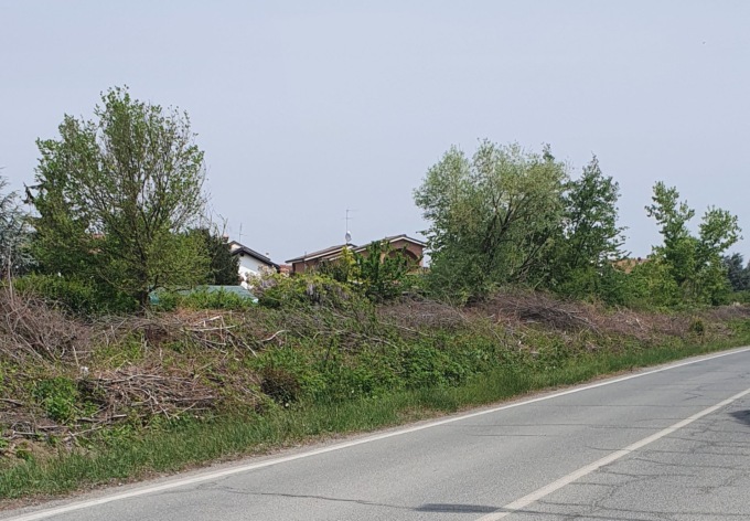 “Sterpaglie abbandonate lungo l’argine del canale in zona Cabanette ad Alessandria”