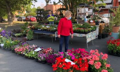 Alessandria: grande successo per il ritorno di "Un Quartiere in Fiore": al Cristo una settimana di eventi