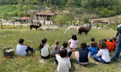 A scuola nel bosco: le lezioni nell'agriparco a Sarezzano