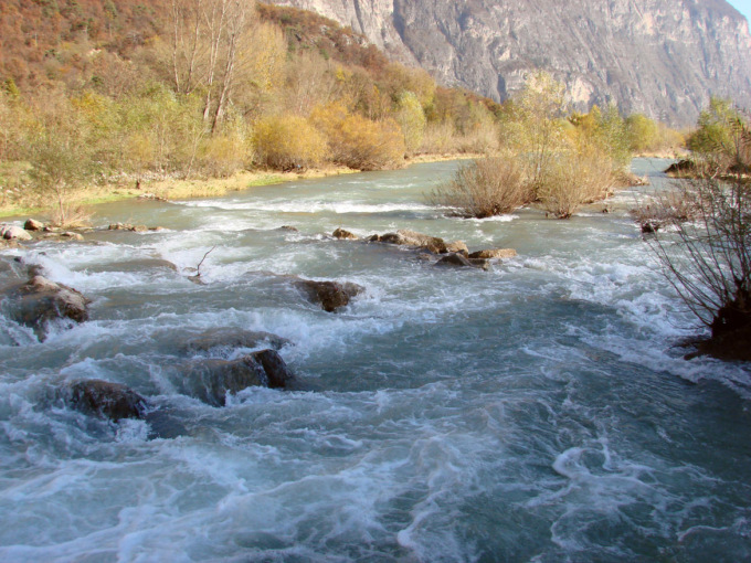 Peste suina, vietato prendere il sole e fare il bagno lungo i corsi d’acqua della zona rossa