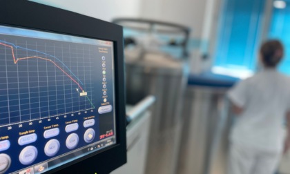 Ad Alessandria un nuovo sistema di controllo conservazione cellule staminali emopoietiche