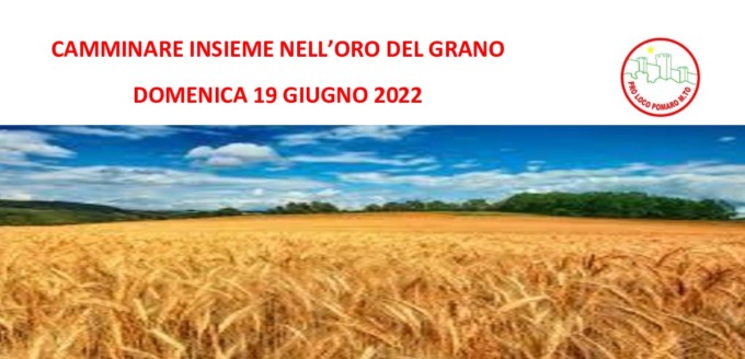 Camminare insieme nell’oro del grano: domenica 19 giugno