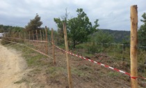 Sardigliano, PSA: perplessità e preoccupazione per la realizzazione della maxi-recinzione