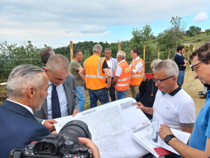 Peste Suina, iniziata la posa della rete di contenimento dei cinghiali