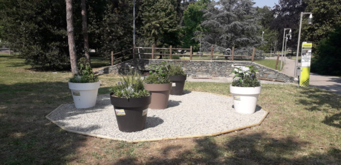 Alessandria: nuovi interventi verdi per un corridoio ecologico in città