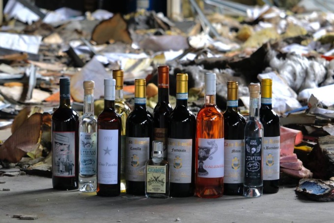 Valsusa, progetto di nuovi impianti di 10 ettari di vigneti eroici