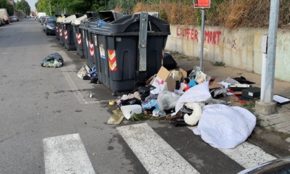 "Rifiuti accumulati e piante sporgenti sul marciapiede di via Donizetti ad Alessandria"