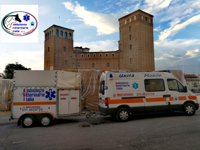 Alessandria: i volontari di “A Tutta Zampa”  a lavoro al Cristo per l’ambulanza veterinaria