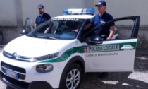 Tortona, arrestate 5 persone per diffusione di false polizze assicurative