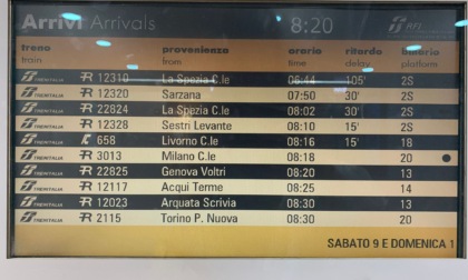 Treni nel caos a Genova dopo l'investimento di un cinghiale sui binari