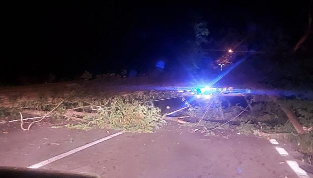 Pino Torinese, uomo 56enne muore per caduta di albero sul suo taxi
