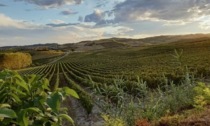 Regione Piemonte riconosce ufficialmente la Strada dei Vini e dei Sapori del Gran Monferrato